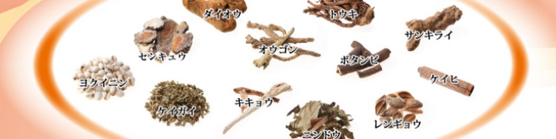 �������������T�C�g